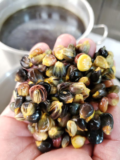 Corn kernels